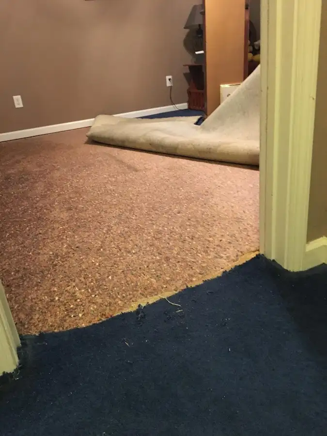 Carpet pad removal revealing water damage during Drying & Dehumidification in Franconia