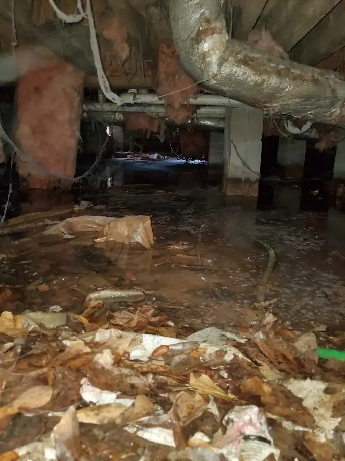 Crawl space flood assessment for Leak Detection & Repair in Franconia