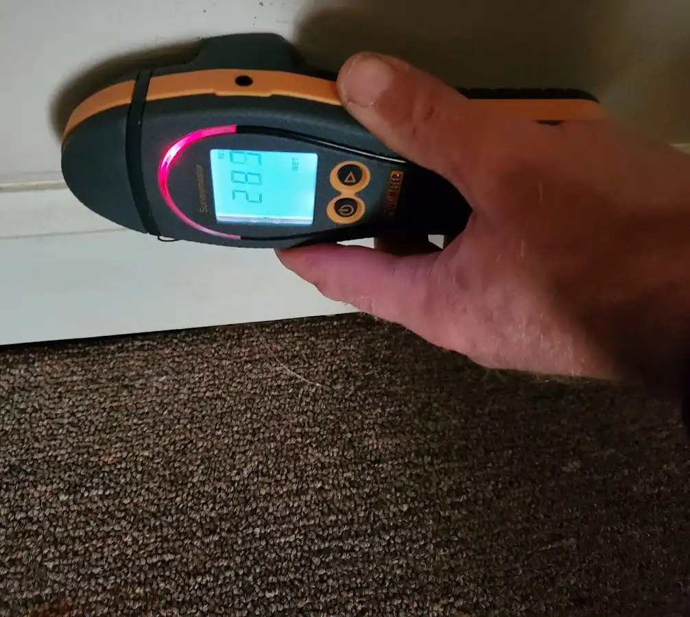 Moisture detection at baseboard during Sewage Cleanup & Sanitation in Franconia